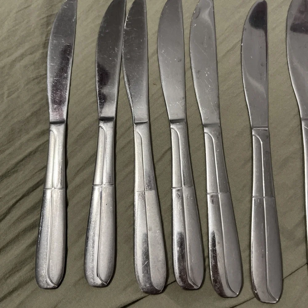 Cambridge Stainless Flatware CBS176  10 Dinner Knives